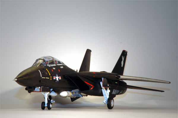 F-14 Black Tomcat